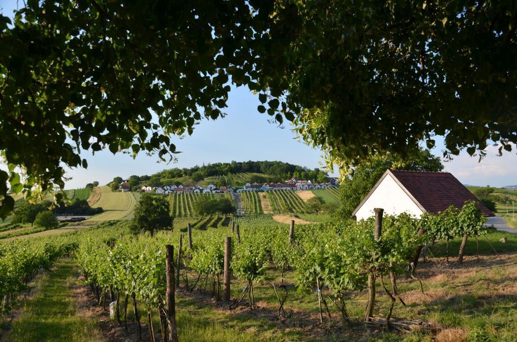 Ferienwohnung Herrmann Pottenhofen Buitenkant foto