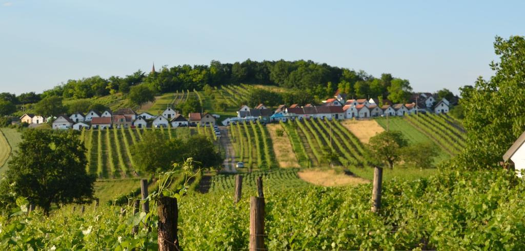 Ferienwohnung Herrmann Pottenhofen Buitenkant foto